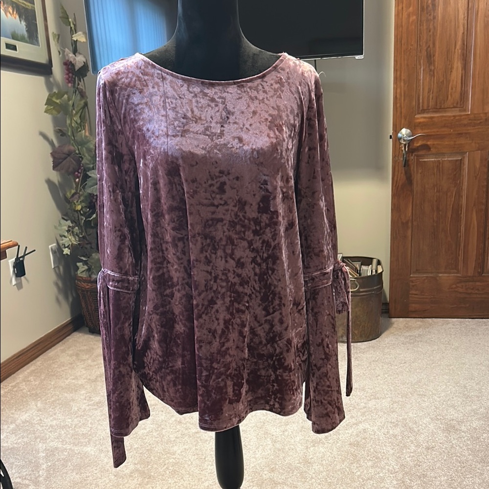 Velvet Long Sleeve Top in Purple